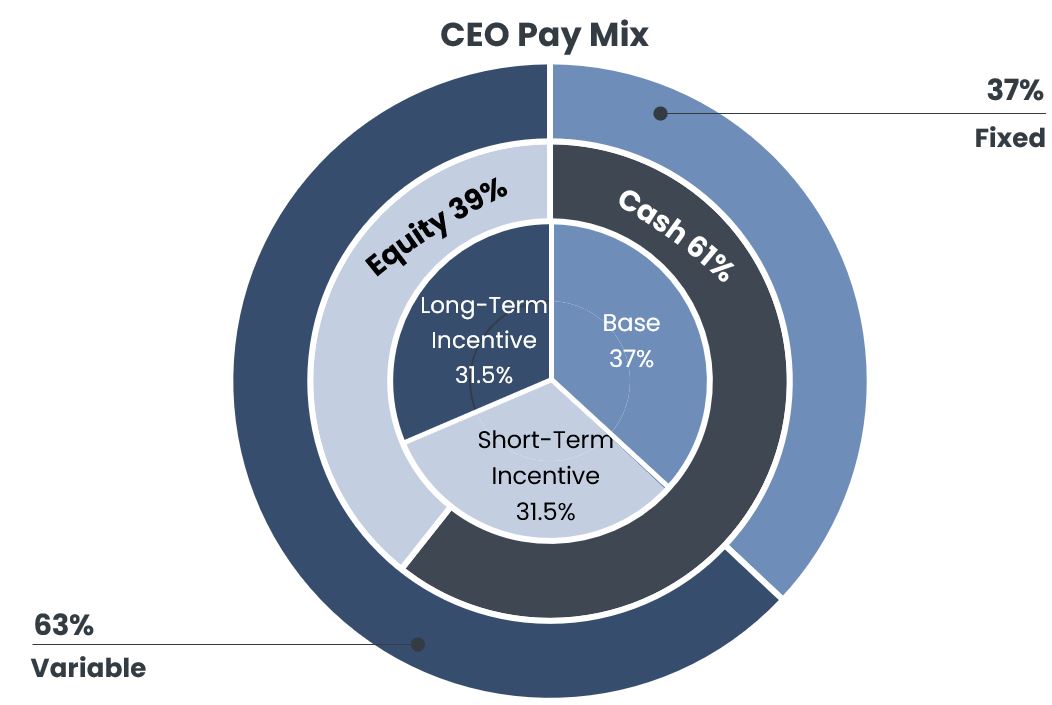CEO Pay Ratio graph.jpg